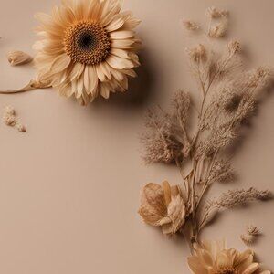 Meet your Posher, Ollie